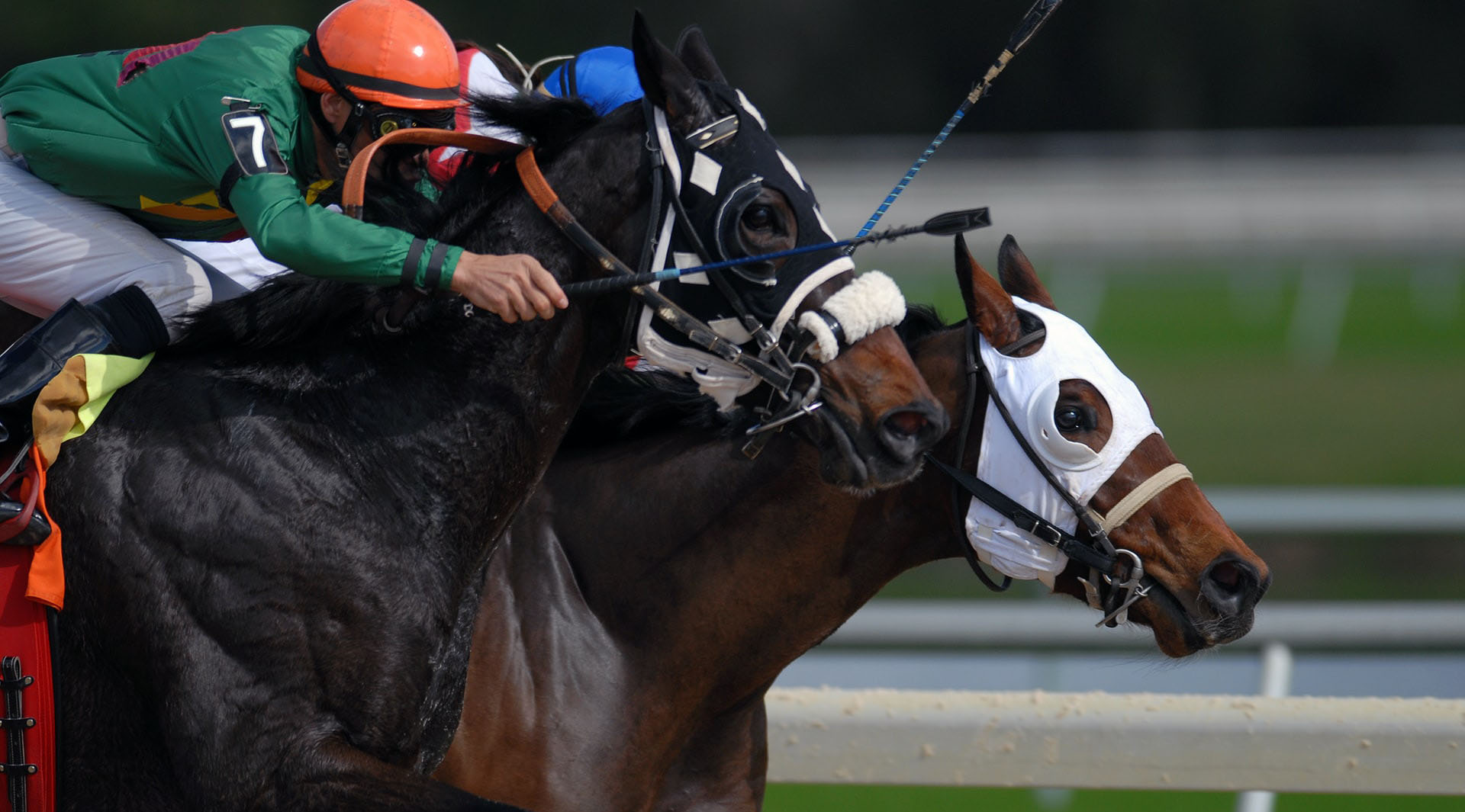 accident-and-sickness-insurance-from-equestrian-protect